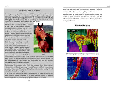 Energy Medicine for Animals by Diane Budd: Paperback; 192 pages / English