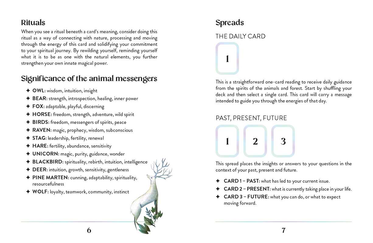 Enchanted Earth Oracle by Jessica Lahoud: Flashcards; 96 pages / English