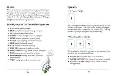 Enchanted Earth Oracle by Jessica Lahoud: Flashcards; 96 pages / English