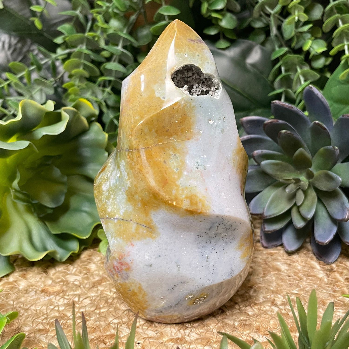 Ocean Jasper