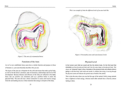 Energy Medicine for Animals by Diane Budd: Paperback; 192 pages / English