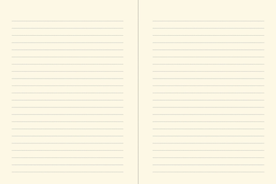 Orange Fairy Journal