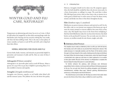 Secret Medicines from Your Garden by Ellen Evert Hopman: Paperback; 384 pages / English