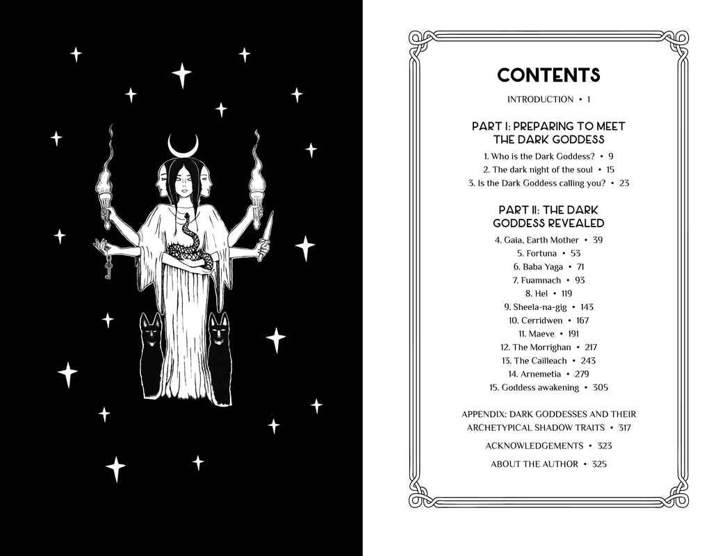 Reclaim your Dark Goddess by Flavia Kate Peters: Paperback; 384 pages / English