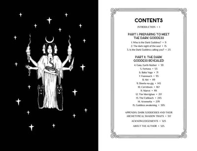 Reclaim your Dark Goddess by Flavia Kate Peters: Paperback; 384 pages / English