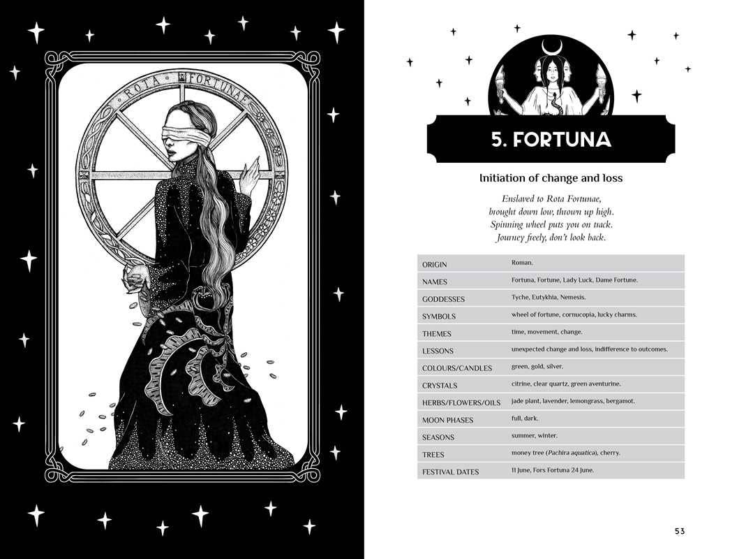 Reclaim your Dark Goddess by Flavia Kate Peters: Paperback; 384 pages / English