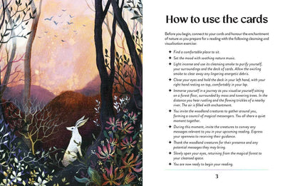Enchanted Earth Oracle by Jessica Lahoud: Flashcards; 96 pages / English