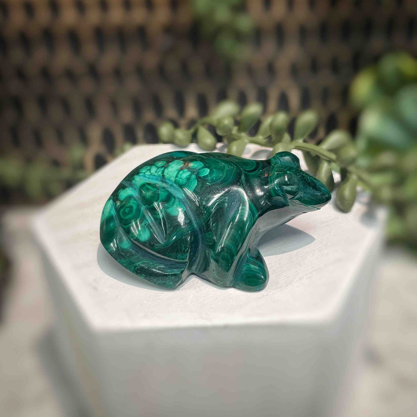 Malachite - Frog - A069