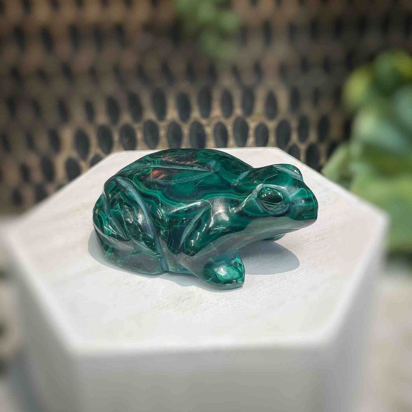 Malachite - Frog - A070