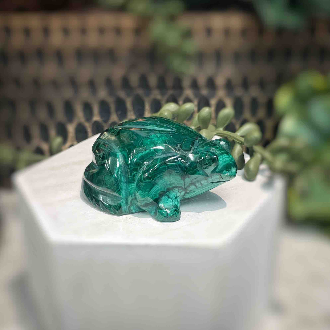 Malachite - Frog - A072