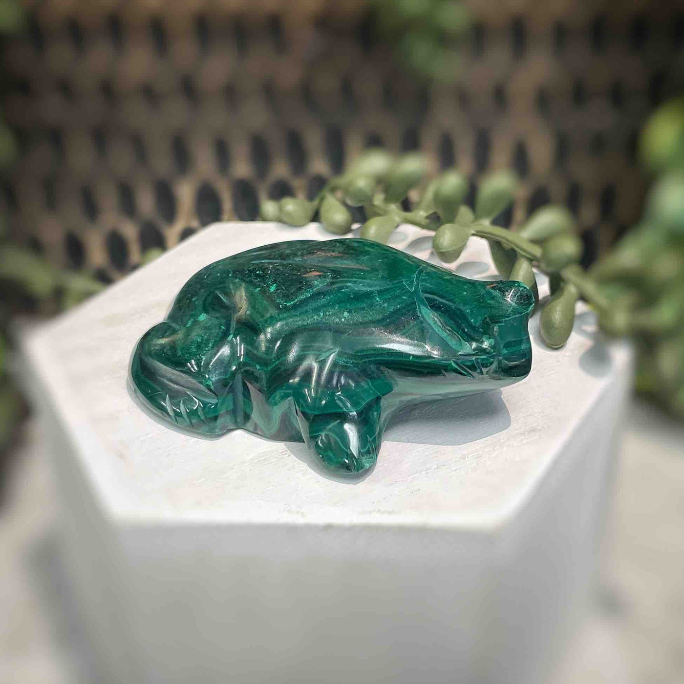 Malachite - Frog - A073