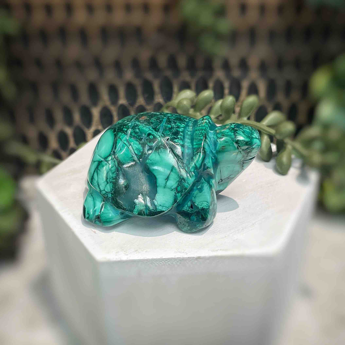 Malachite - Turtle - A075