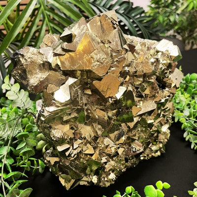 Pyrite - Multi Choice - Freeform
