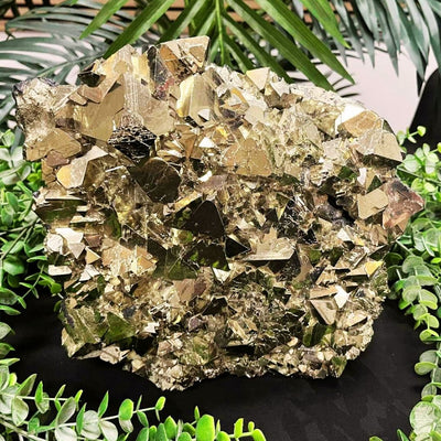 Pyrite - Multi Choice - Freeform