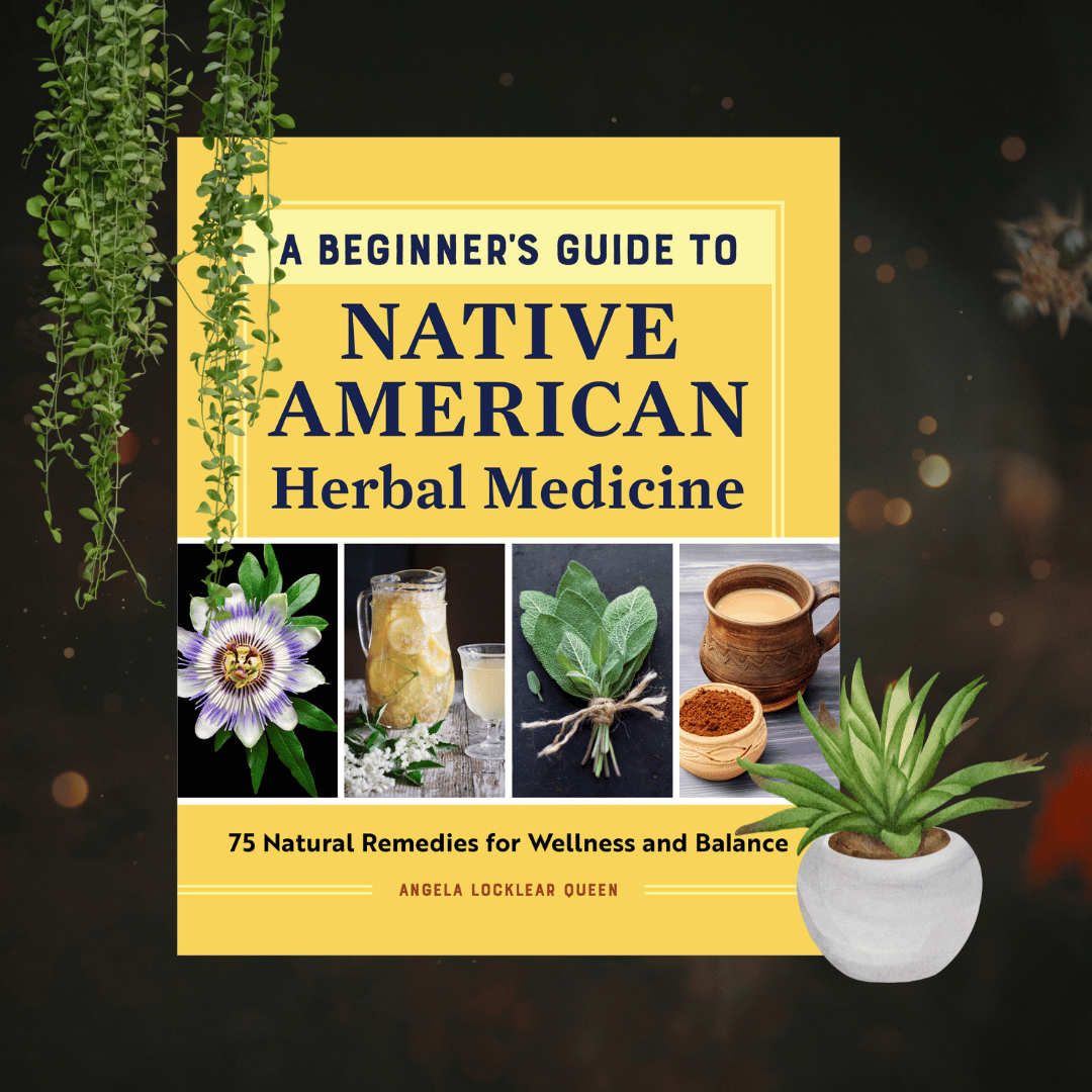 Beginner's Guide to Native American Herbal Medicine