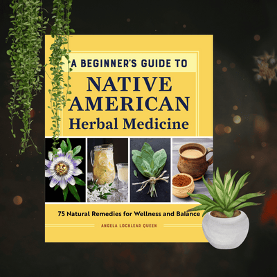Beginner's Guide to Native American Herbal Medicine