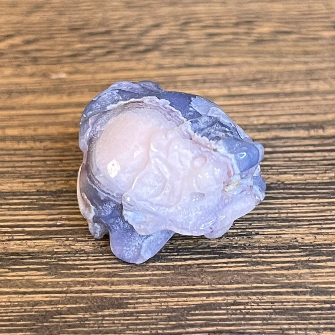 Dragon Turtle Micro – Blue Flower Agate - Micro