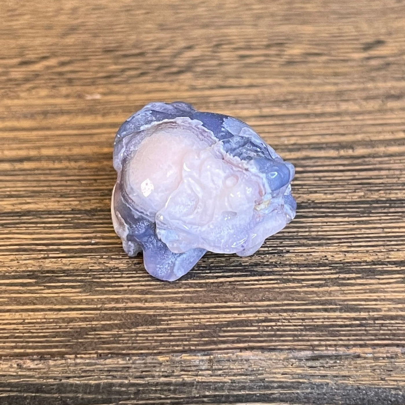 Dragon Turtle Micro – Blue Flower Agate - Micro