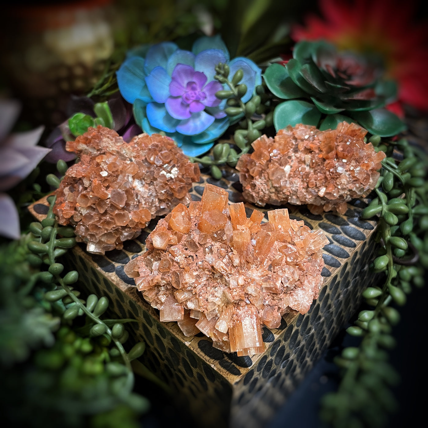 Aragonite - 3.0" - 3.25"