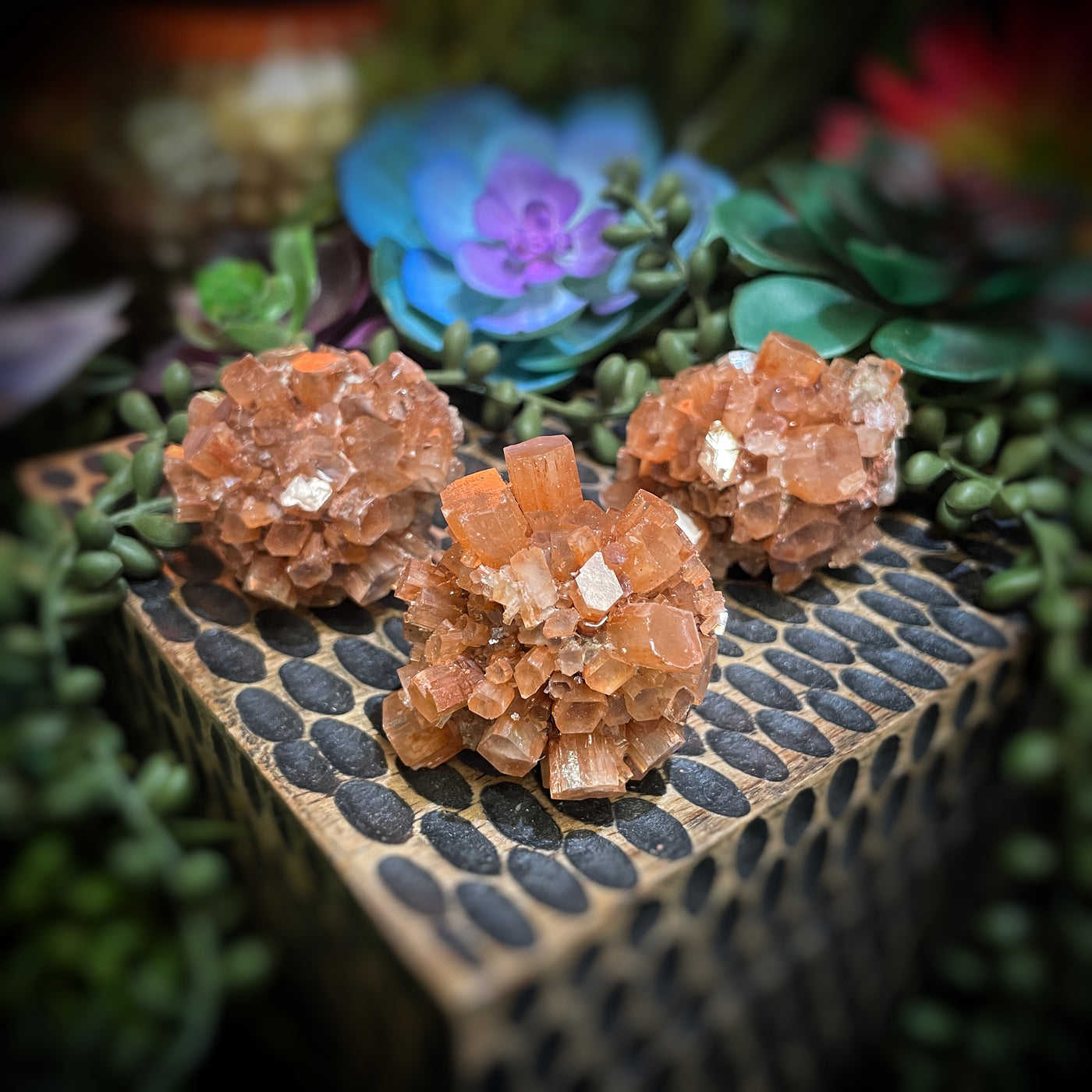 Aragonite - 1.75" - 2.25"