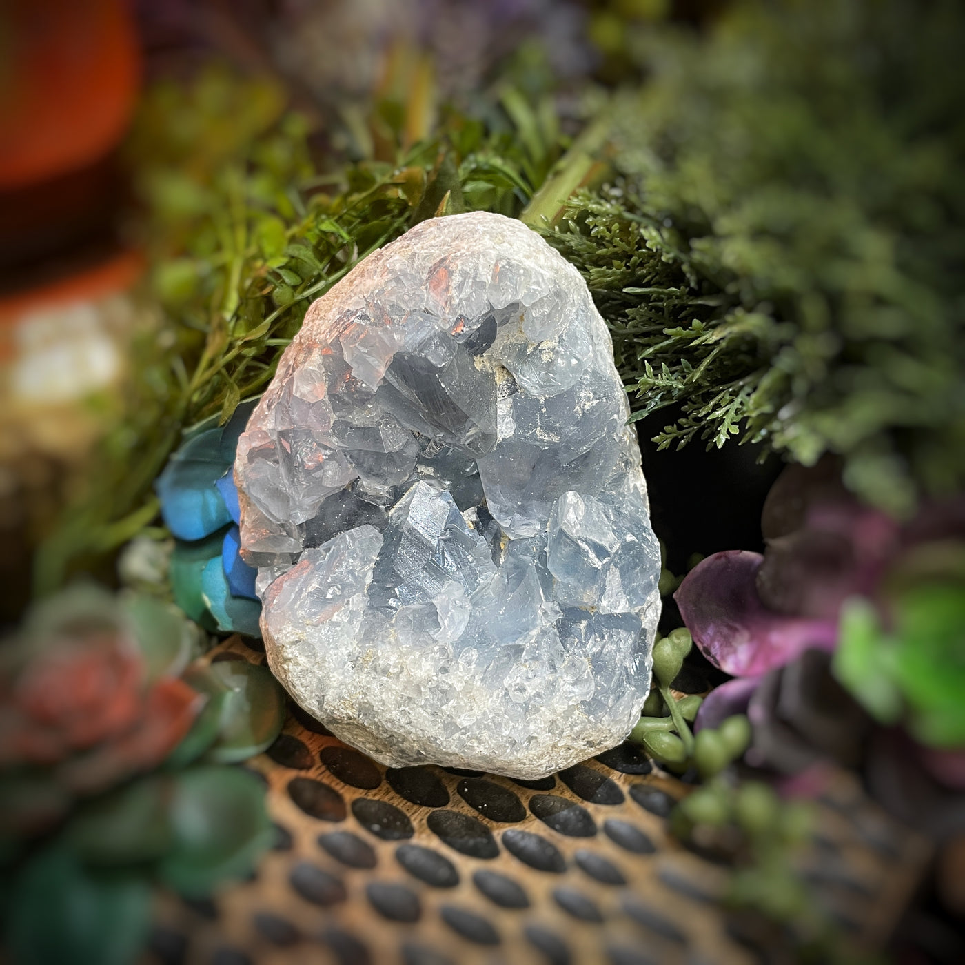 Celestite - Free Form  -  4.25" x 3"