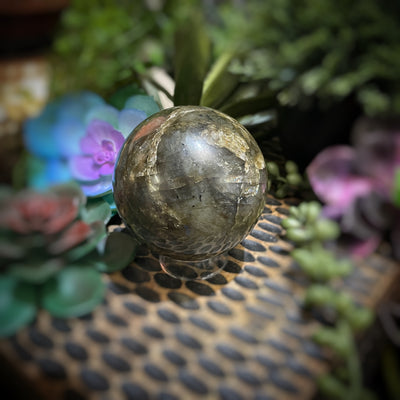 Labradorite - Sphere - 2.5"