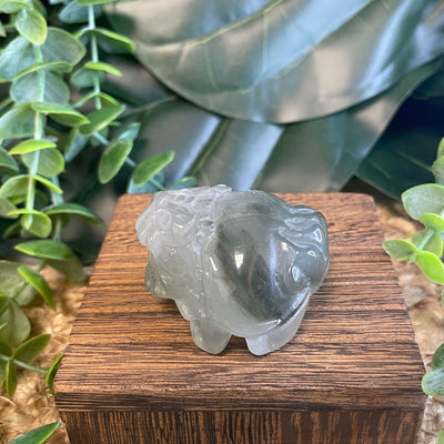 Dragon Turtle Medium – Green Rabbit Fur