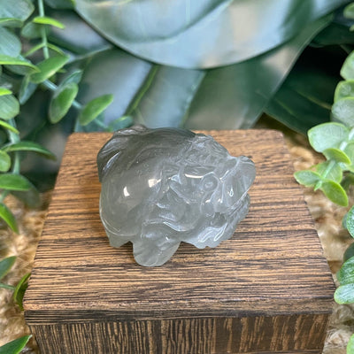 Dragon Turtle Medium – Green Rabbit Fur