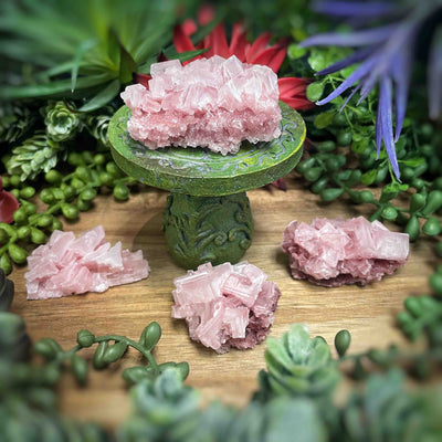 Pink Halite - Specimen - 2.25" - 3.4" - Set 1