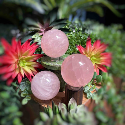 Rose Quartz - Spheres 2" - 2.1"