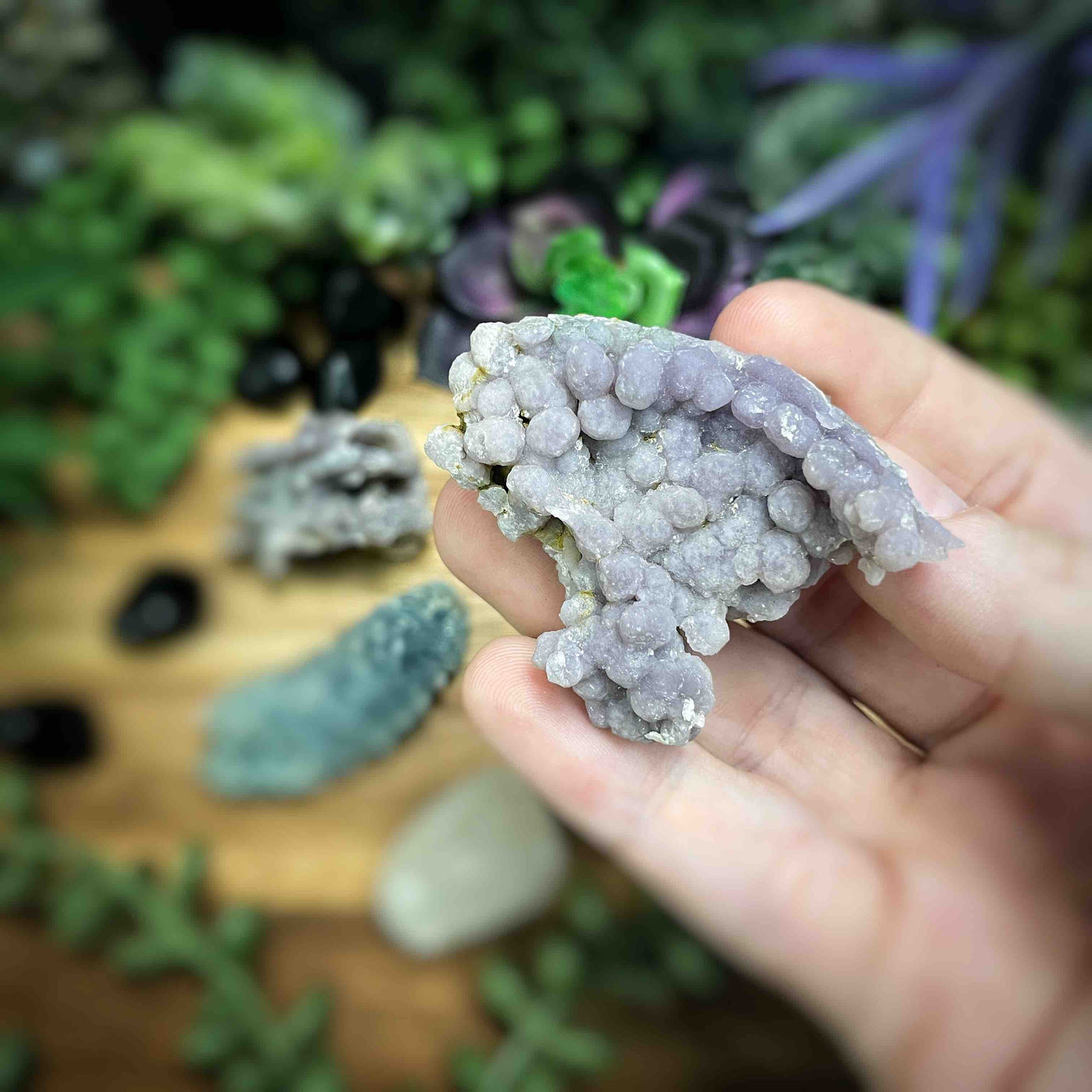 Grape Agate - Specimen - Set 2