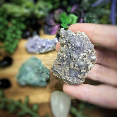 Grape Agate - Specimen - Set 3