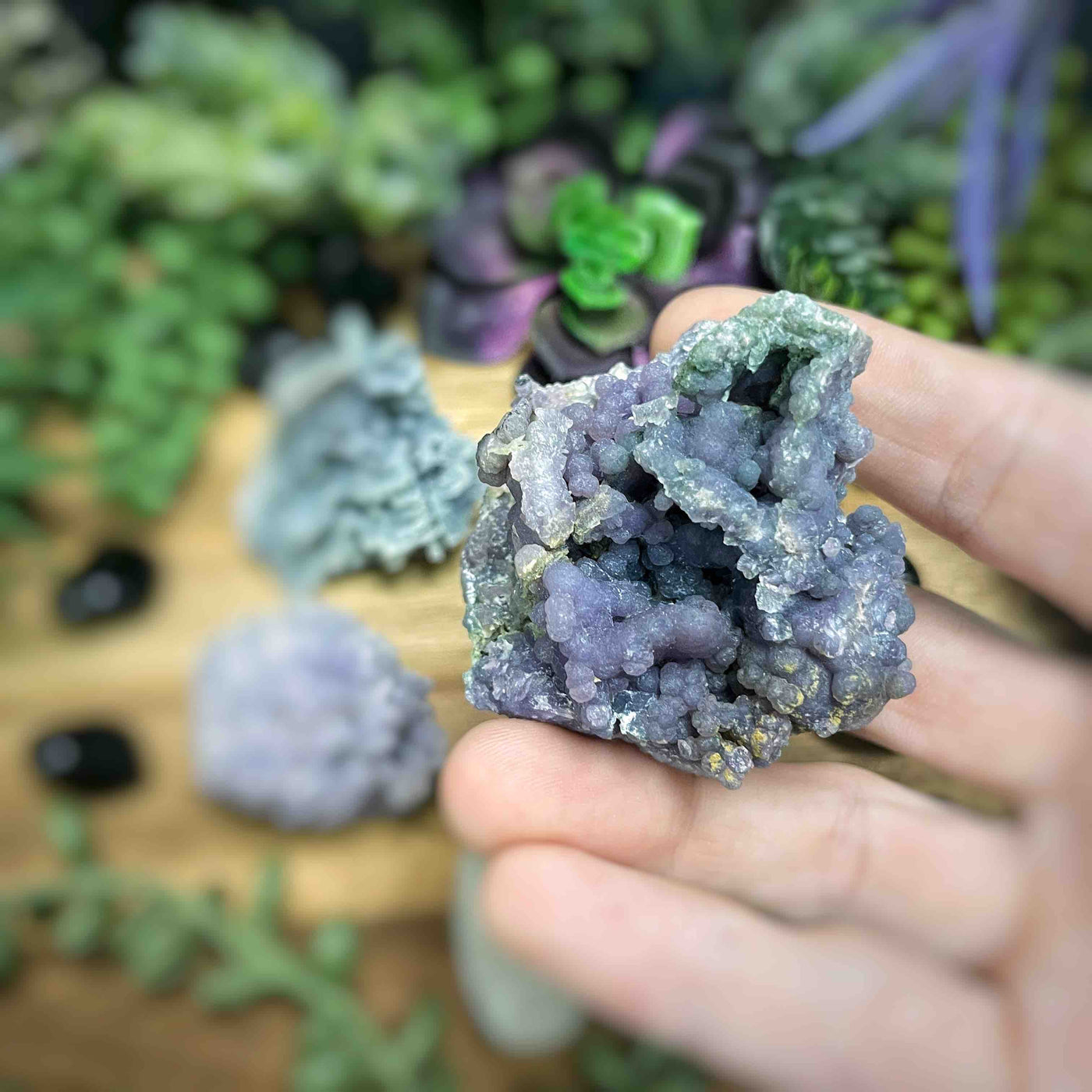 Grape Agate - Specimen - Set 4