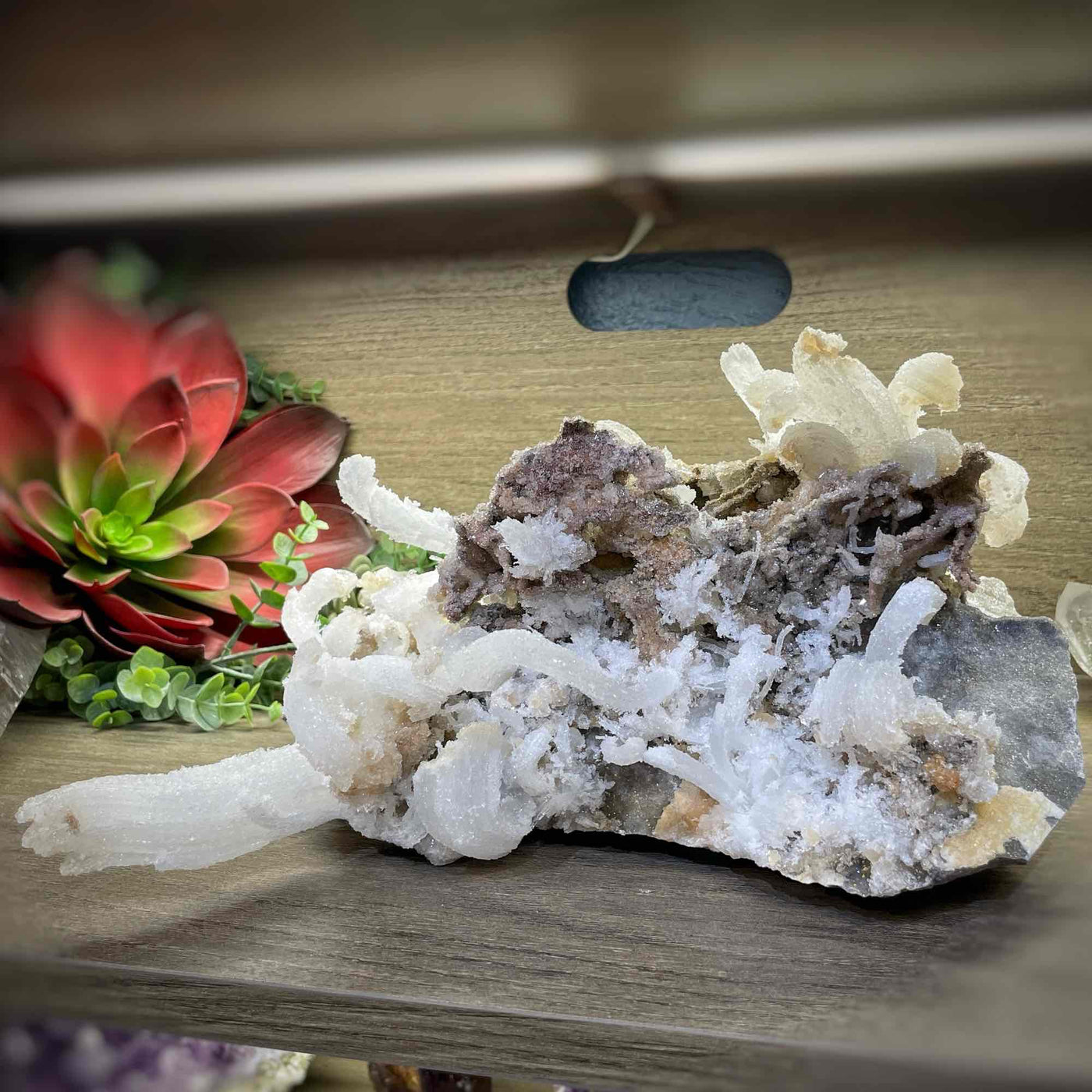 Rams Horn Selenite - Specimen