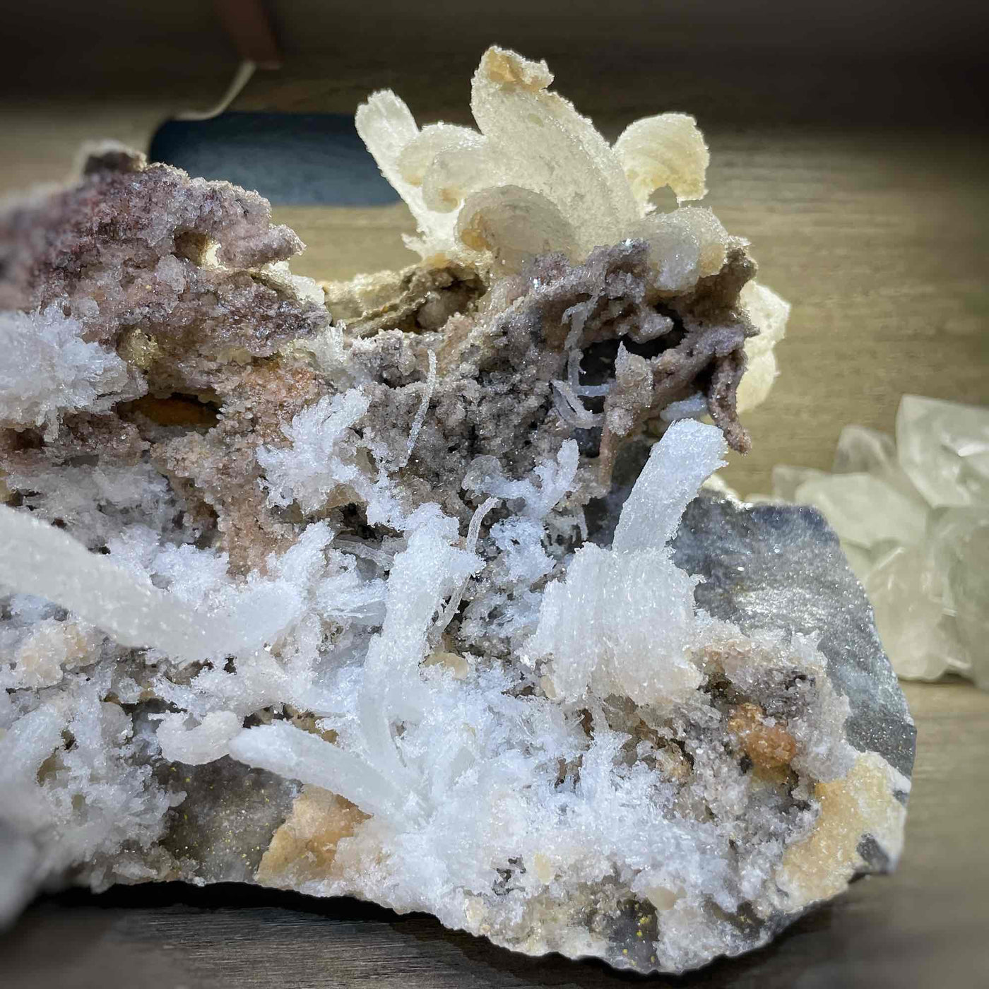 Rams Horn Selenite - Specimen