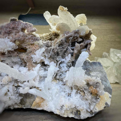 Rams Horn Selenite - Specimen