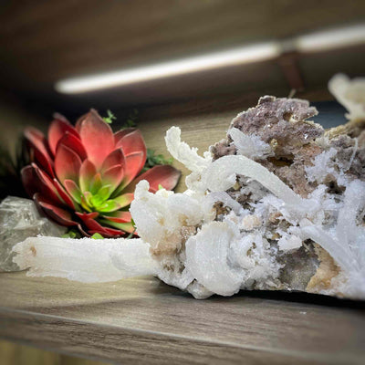Rams Horn Selenite - Specimen