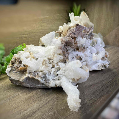 Rams Horn Selenite - Specimen