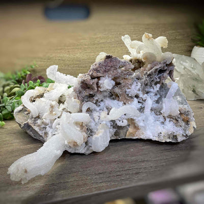 Rams Horn Selenite - Specimen