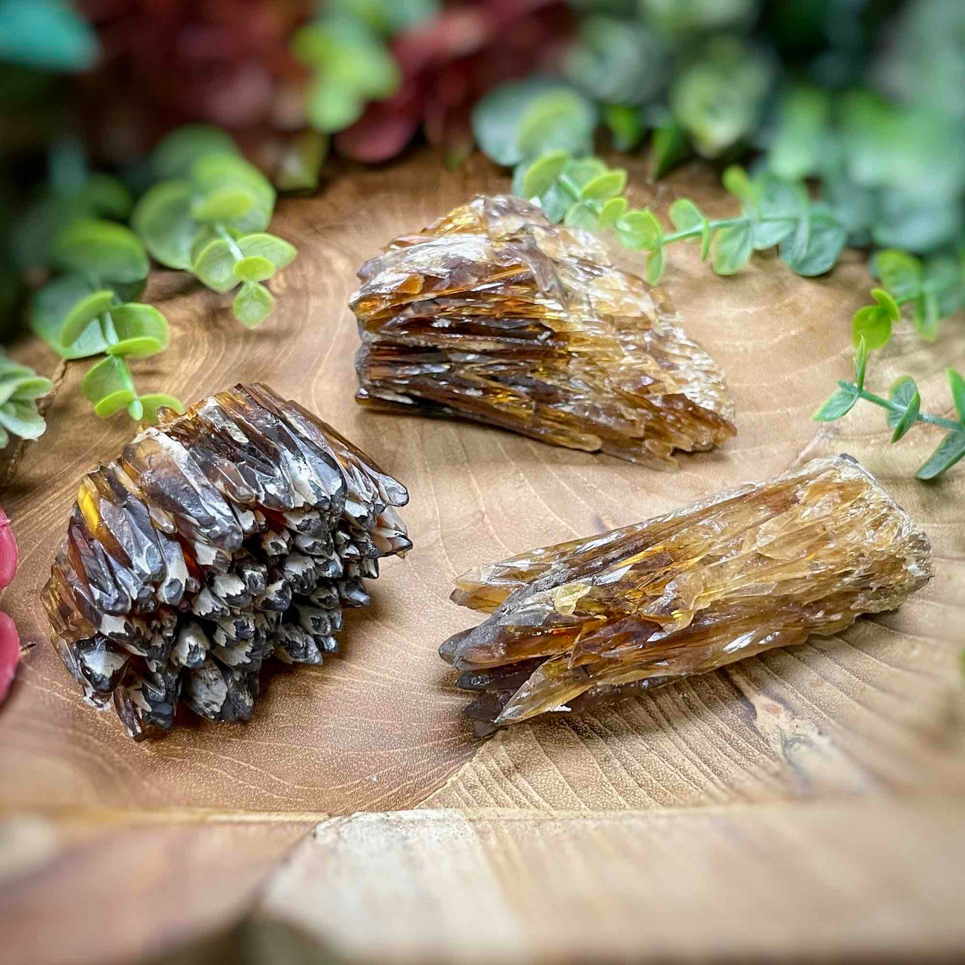 Root Beer Calcite - Specimens