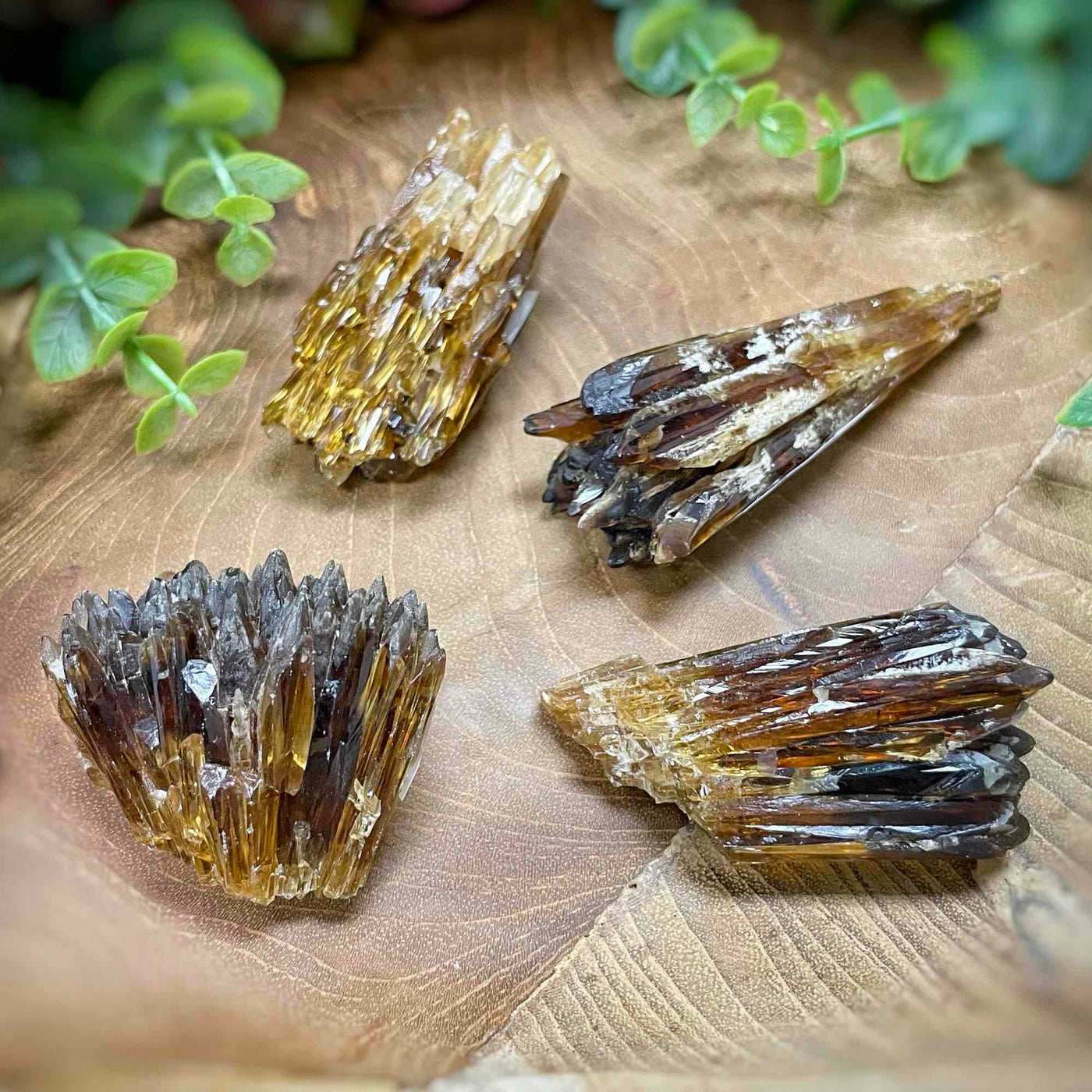 Root Beer Calcite - Specimens