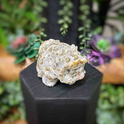 Dragon Turtle – Ocean Jasper