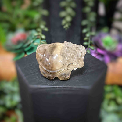 Dragon Turtle – Smoky Citrine 66.5 g