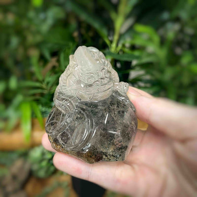 Money Toad – Lodolite 0.61 lb
