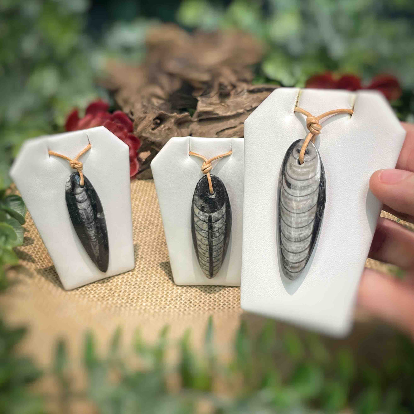 Orthoceras Pendant