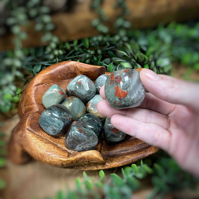 Bloodstone - 1.25 - 1.75" - Tumbled