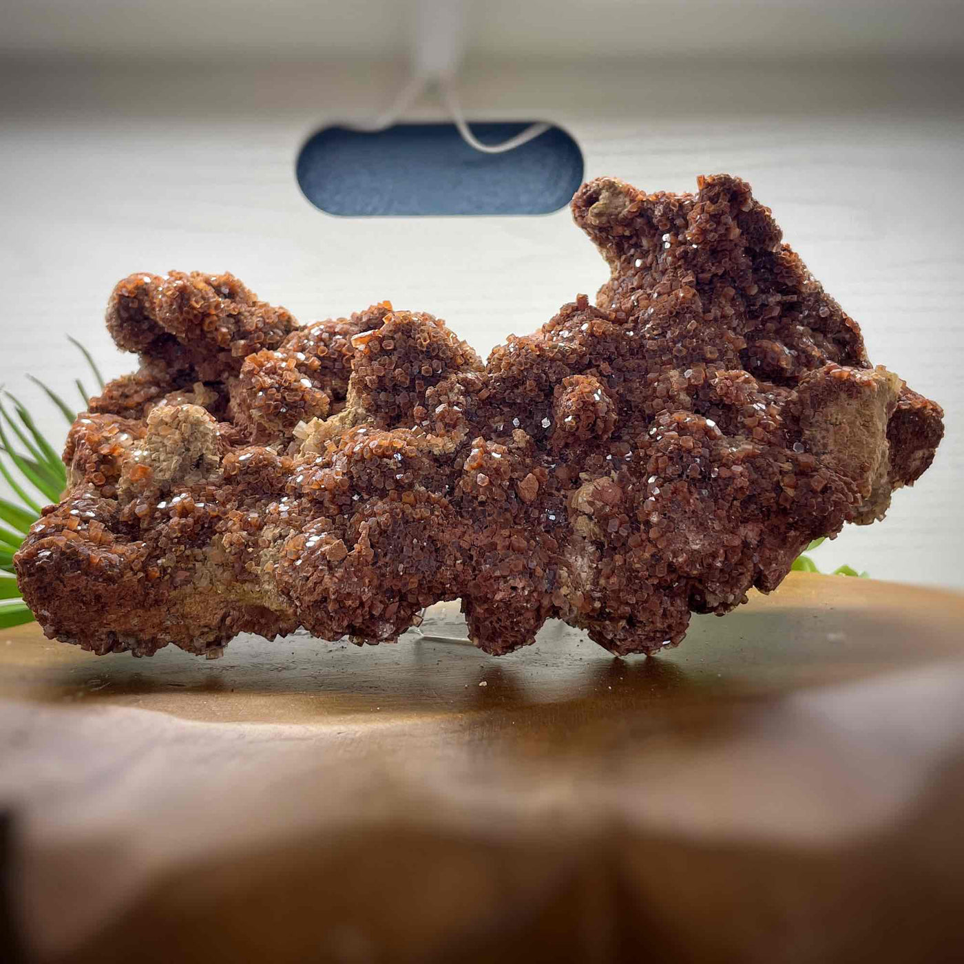 Aragonite Cluster - Medium