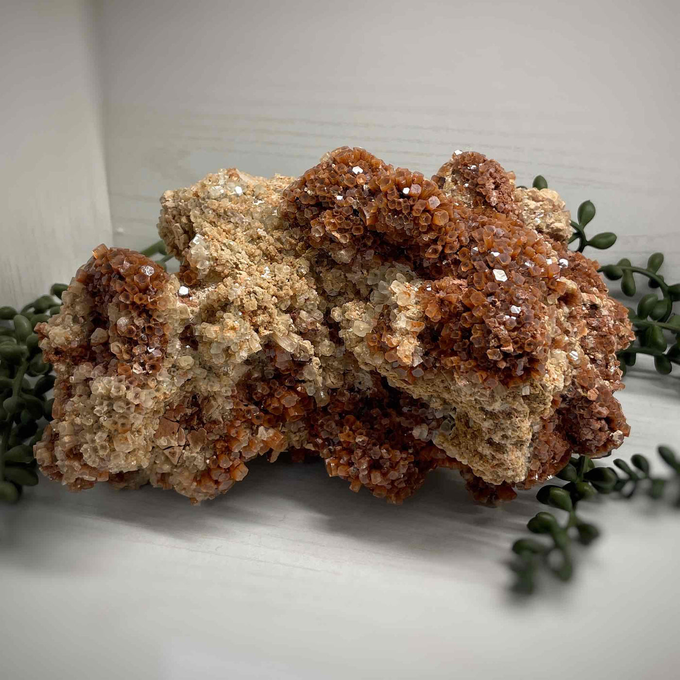 Aragonite Cluster - Medium