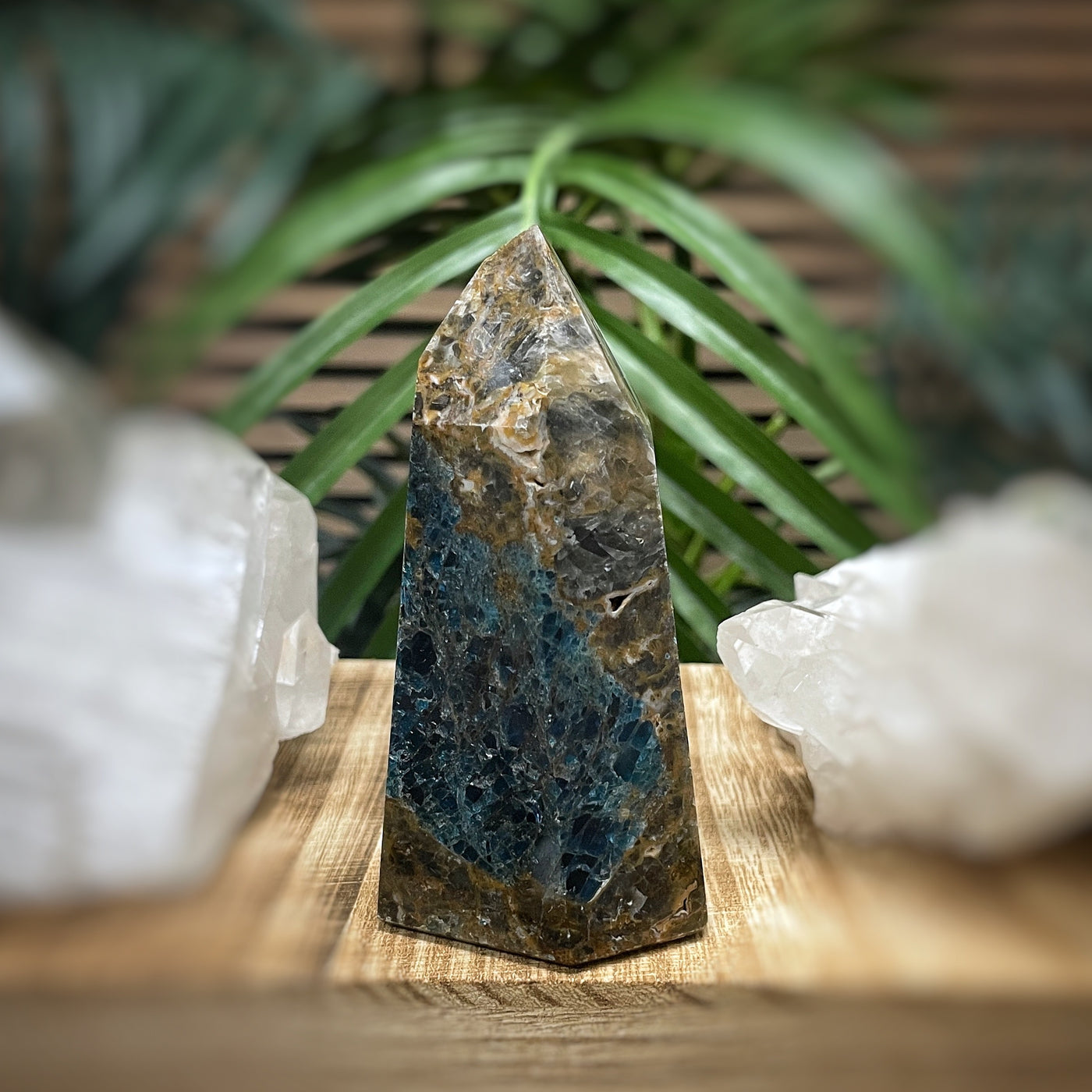 Blue Apatite in Jasper - RARE - Point, Tower, Obelisk