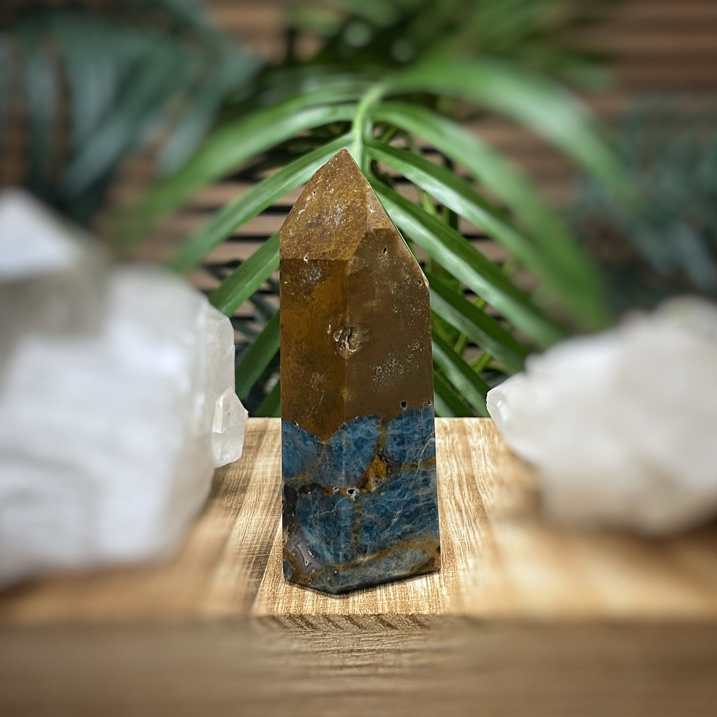 Blue Apatite in Jasper - RARE - Point, Tower, Obelisk